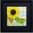 thumbnail image 1 of Trademark Fine Art "Soleil III" Canvas Art by Color Bakery, Black Matte, Black Frame, 1 of 1