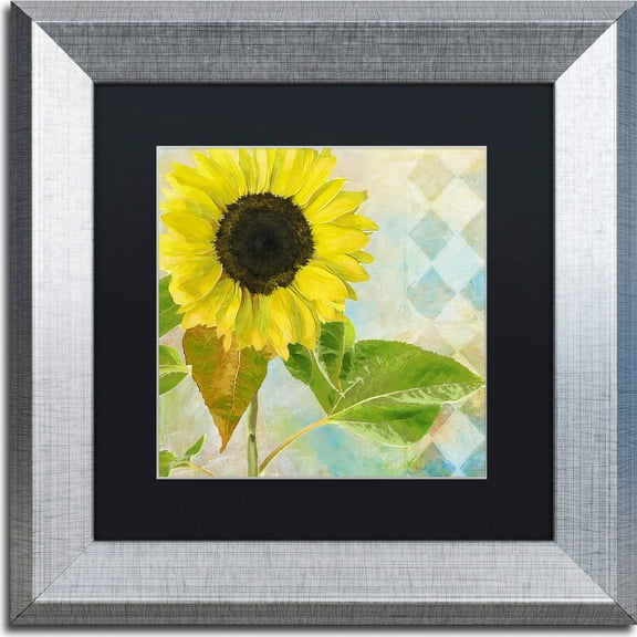 Trademark Fine Art "Soleil III" Canvas Art by Color Bakery, Black Matte, Silver Frame