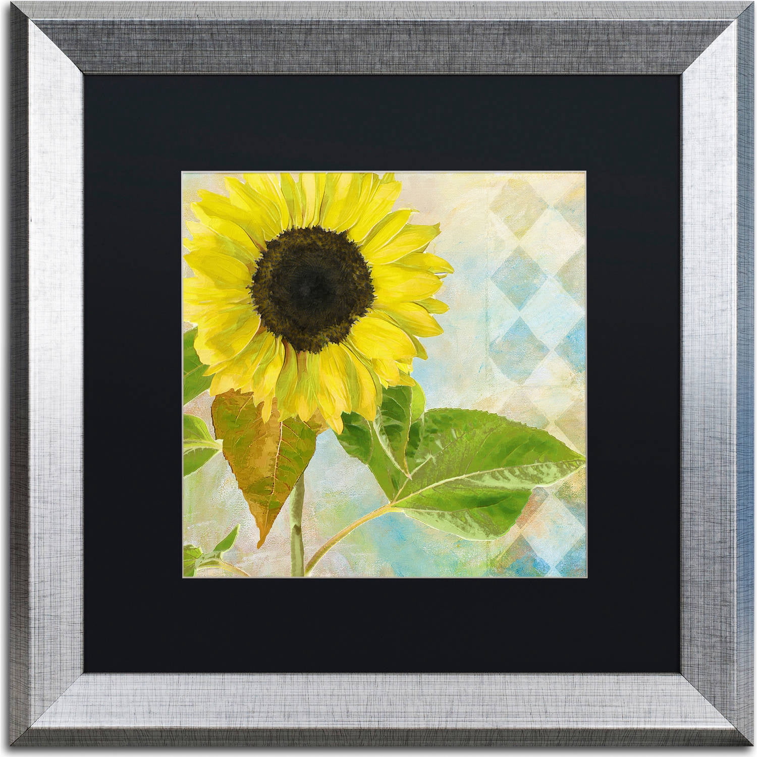 Trademark Fine Art "Soleil III" Canvas Art by Color Bakery, Black Matte, Silver Frame