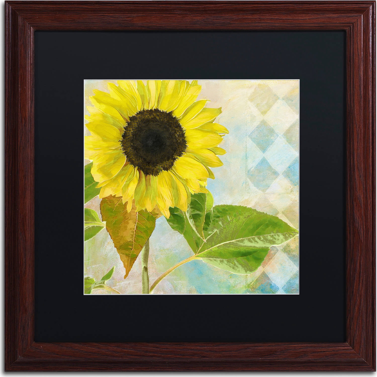 Trademark Fine Art "Soleil III" Canvas Art by Color Bakery, Black Matte, Wood Frame