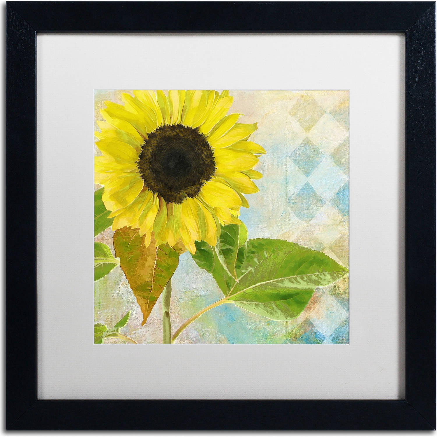 Trademark Fine Art "Soleil III" Canvas Art by Color Bakery, White Matte, Black Frame