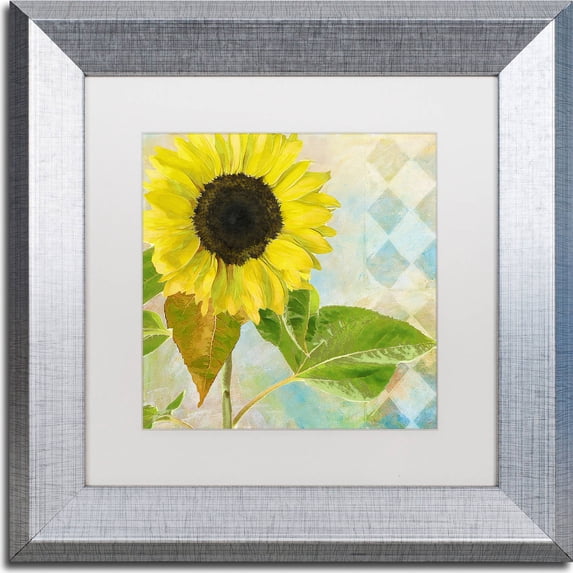 Trademark Fine Art "Soleil III" Canvas Art by Color Bakery, White Matte, Silver Frame