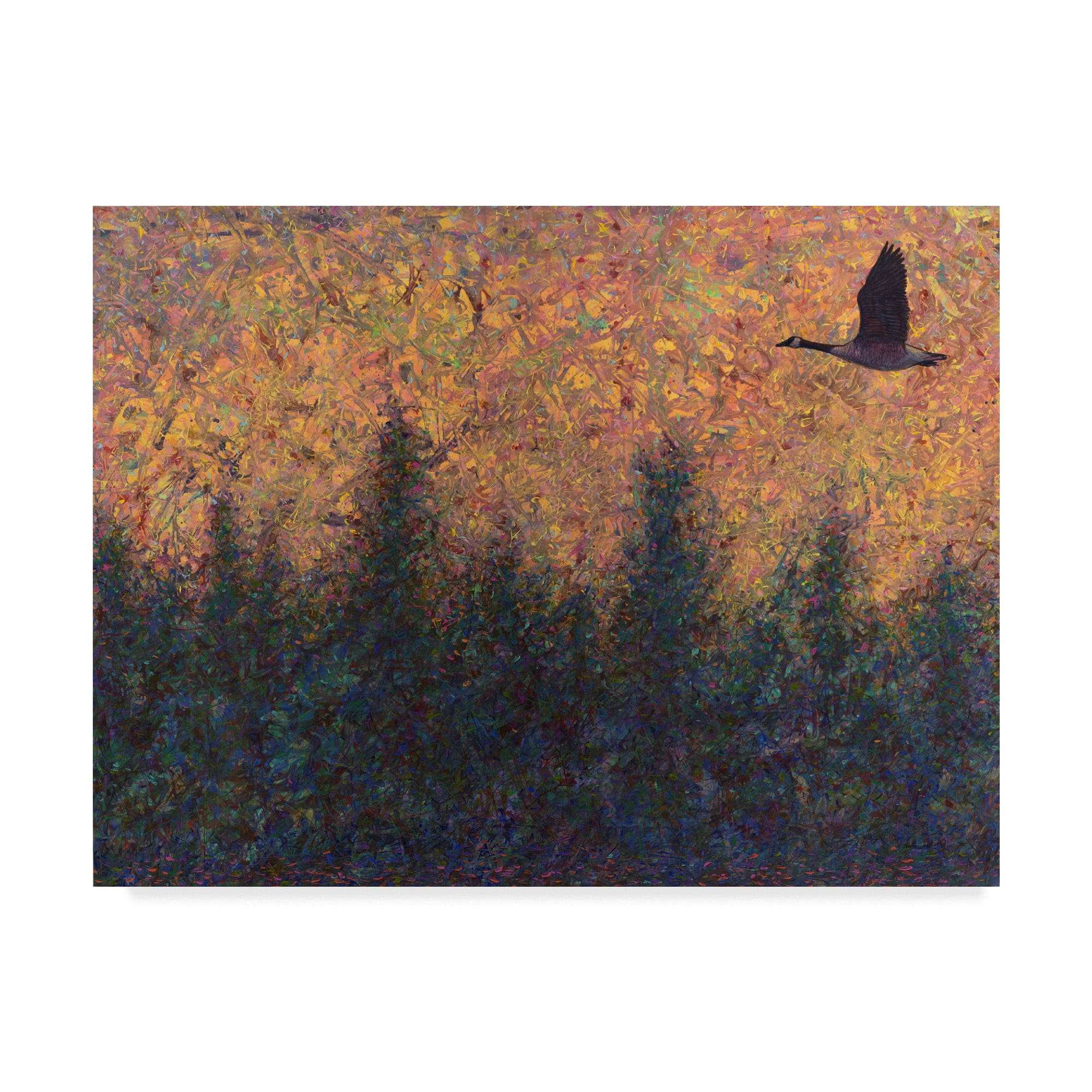 Trademark Fine Art 'Solitary Goose' Canvas Art by James W. Johnson