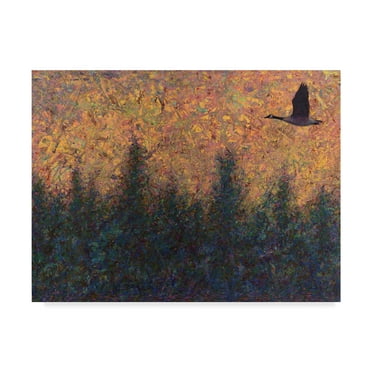 Trademark Fine Art 'Solitary Goose' Canvas Art by James W. Johnson