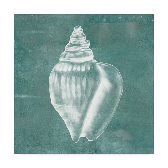 Trademark Fine Art 'Solitary Shell II' Canvas Art by Jennifer Goldberger
