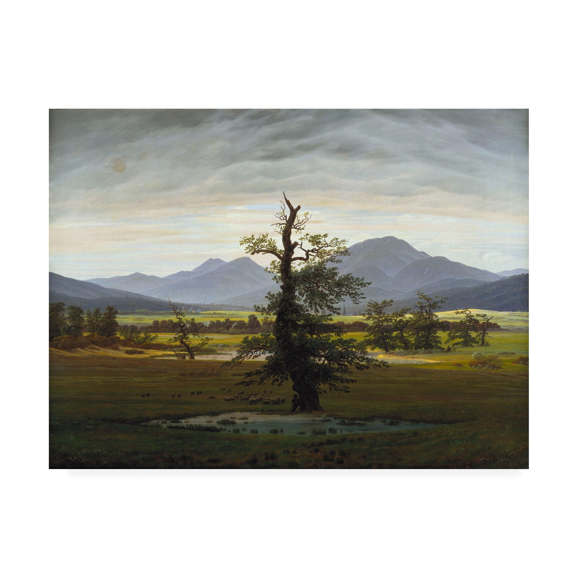 Caspar David Friedrich Solitary Tree Landscape Canvas Art