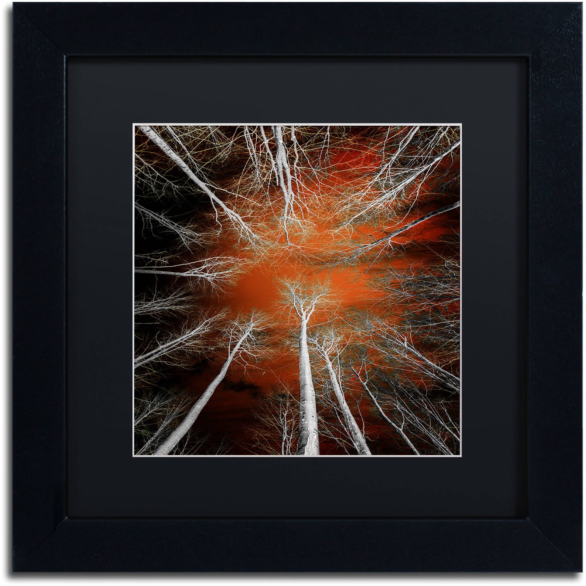 Trademark Fine Art "Something Growing In Me" Canvas Art by Philippe Sainte-Laudy Black Matte, Black Frame