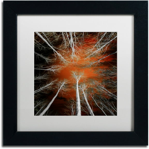 Trademark Fine Art "Something Growing In Me" Canvas Art by Philippe Sainte-Laudy White Matte, Black Frame