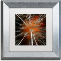 Trademark Fine Art "Something Growing In Me" Canvas Art by Philippe Sainte-Laudy White Matte, Silver Frame
