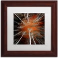thumbnail image 1 of Trademark Fine Art "Something Growing In Me" Canvas Art by Philippe Sainte-Laudy White Matte, Wood Frame, 1 of 1