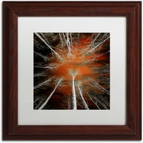 Trademark Fine Art "Something Growing In Me" Canvas Art by Philippe Sainte-Laudy White Matte, Wood Frame