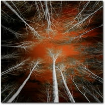 Trademark Fine Art "Something Growing In Me" Canvas Art by Philippe Sainte-Laudy