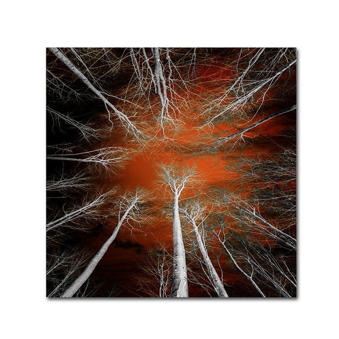 Trademark Fine Art "Something Growing In Me" Canvas Art by Philippe Sainte-Laudy