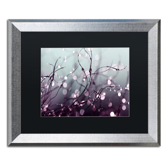 Trademark Fine Art "Somewhere Over the Rainbow" Canvas Art by Beata Czyzowska Young Black Matte, Silver Frame