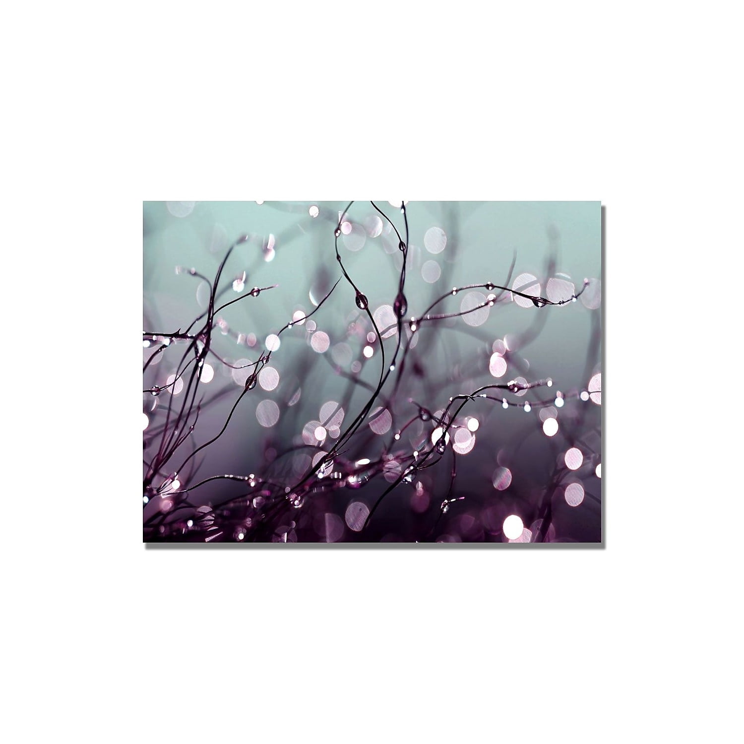 Trademark Fine Art "Somewhere Over the Rainbow" Canvas Art by Beata Czyzowska