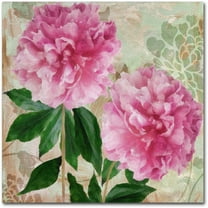 Trademark Fine Art "Sonata I" Canvas Art by Color Bakery