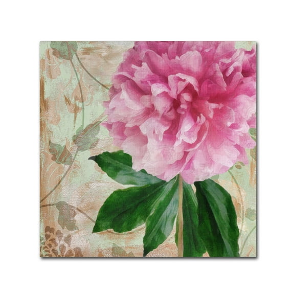 Trademark Fine Art 'Sonata II' Canvas Art by Color Bakery