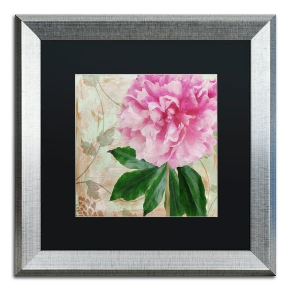 Trademark Fine Art 'Sonata II' Silver Framed Art by Color Bakery