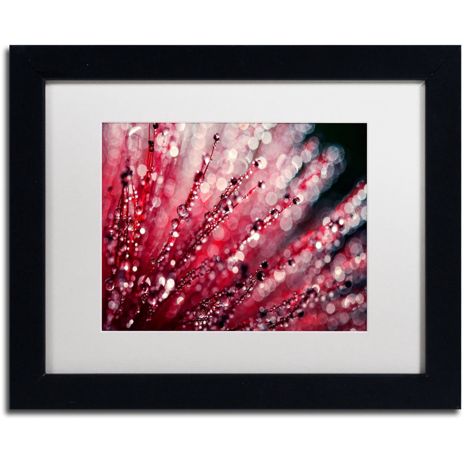 Trademark Fine Art "Sonata in Red" Canvas Art by Beata Czyzowska Young, White Matte, Black Frame