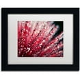 thumbnail image 1 of Trademark Fine Art "Sonata in Red" Canvas Art by Beata Czyzowska Young, White Matte, Black Frame, 1 of 4