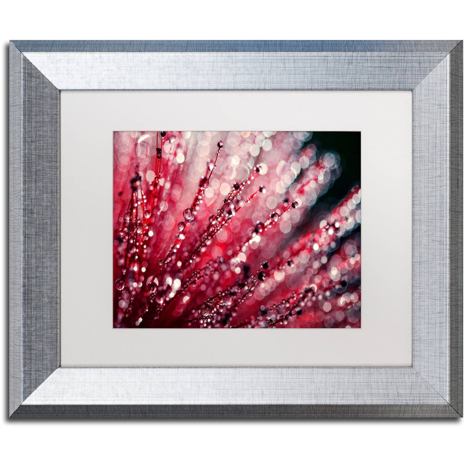 Trademark Fine Art "Sonata in Red" Canvas Art by Beata Czyzowska Young, White Matte, Silver Frame
