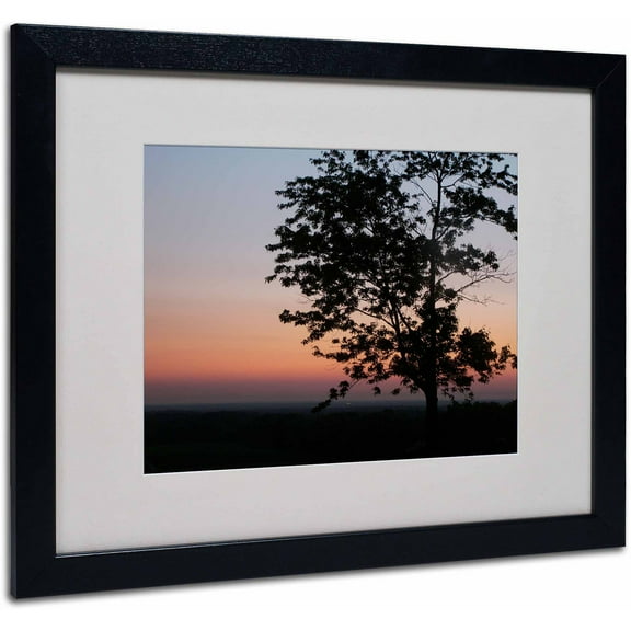 Trademark Fine Art "Soothing Symmetry" Canvas Art by Monica Fleet, White Matte, Black Frame