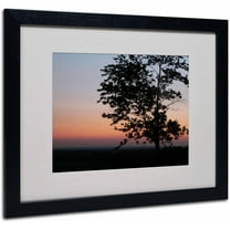 Trademark Fine Art "Soothing Symmetry" Canvas Art by Monica Fleet, White Matte, Black Frame