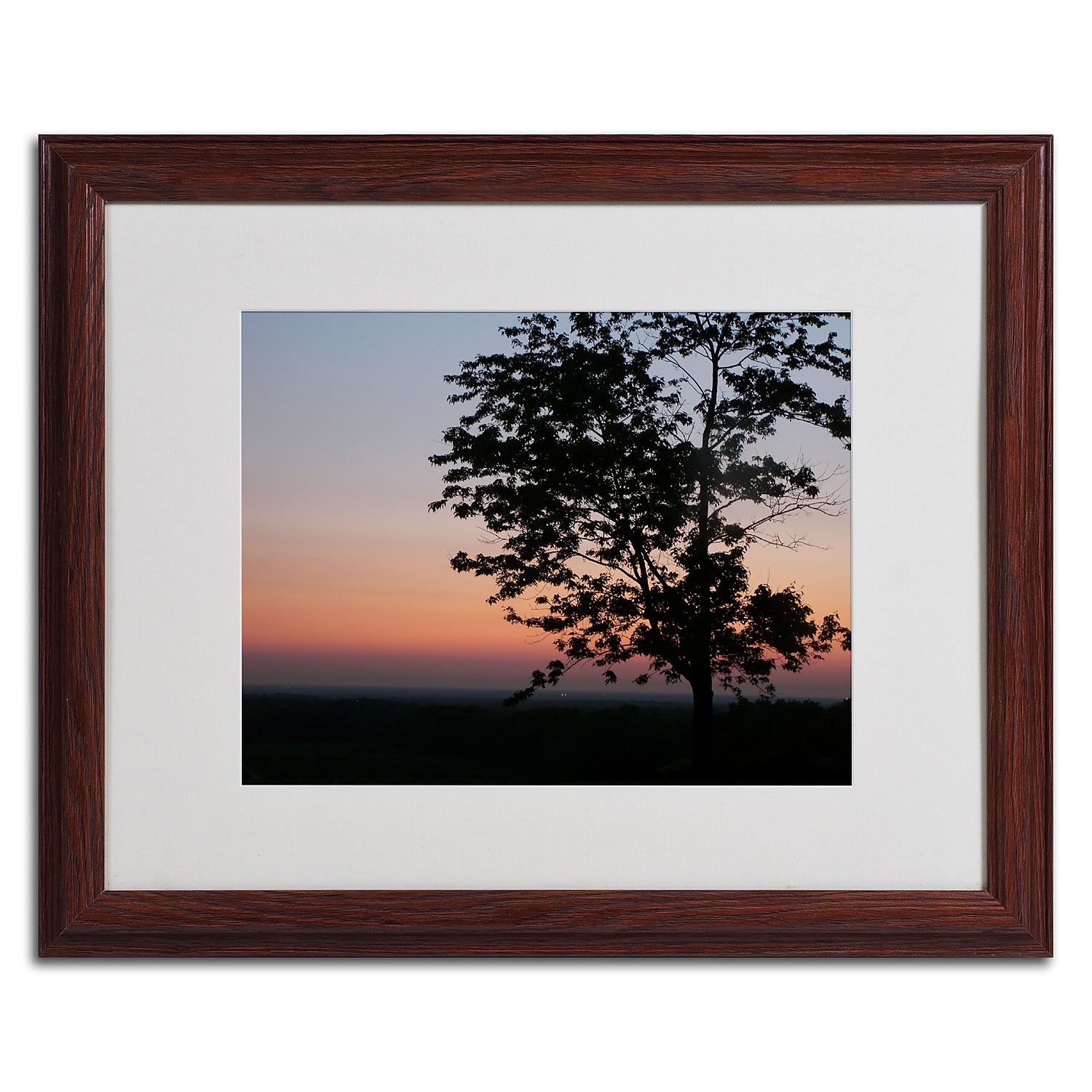 Trademark Fine Art "Soothing Symmetry" Canvas Art by Monica Fleet, White Matte, Wood Frame