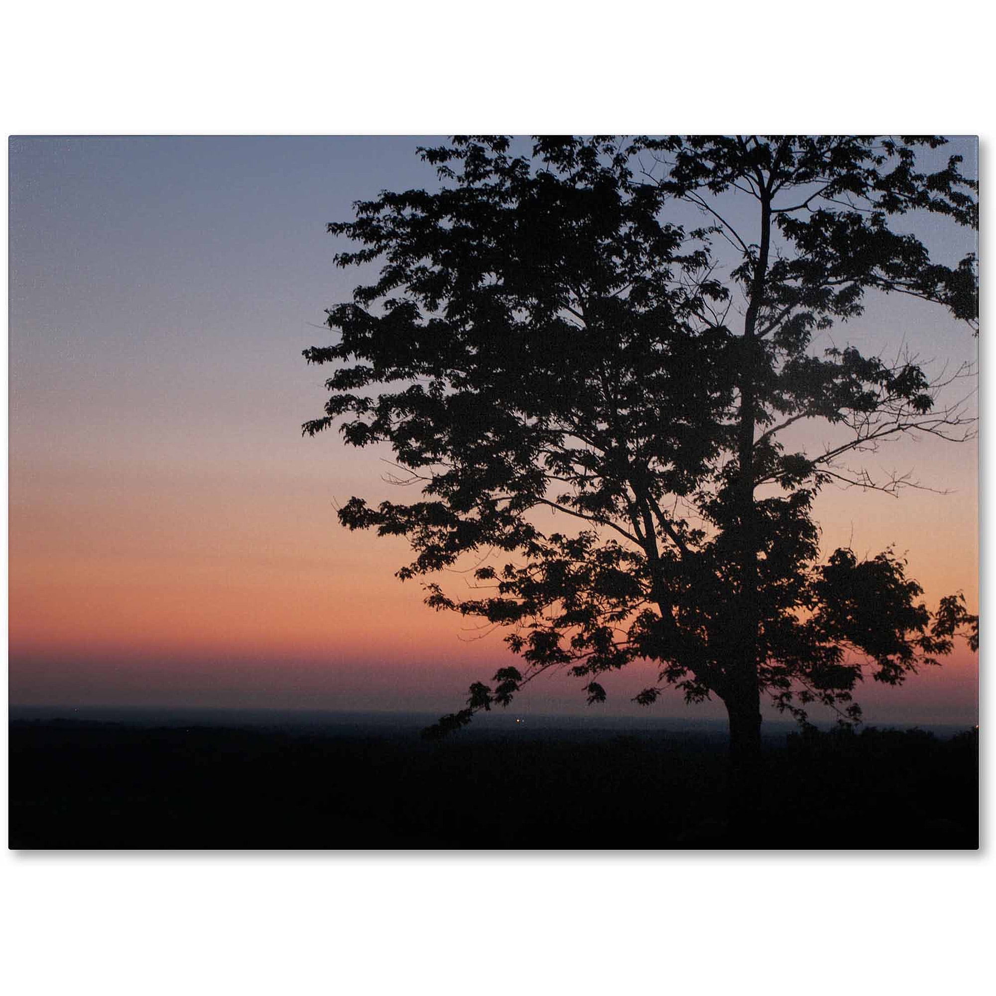 Trademark Fine Art "Soothing Symmetry" Canvas Art by Monica Fleet