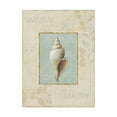 thumbnail image 1 of Trademark Fine Art 'Soothing Words Shells I' Canvas Art by Lisa Audit, 1 of 3