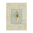thumbnail image 1 of Trademark Fine Art 'Soothing Words Shells III' Canvas Art by Lisa Audit, 1 of 3