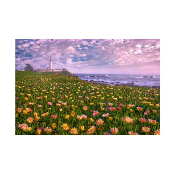 Trademark Fine Art Sophia Li Lighthouse of Succulence Canvas Wall Art