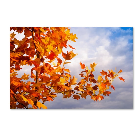 Trademark Fine Art 'Soul Colors' Canvas Art by Philippe Sainte-Laudy