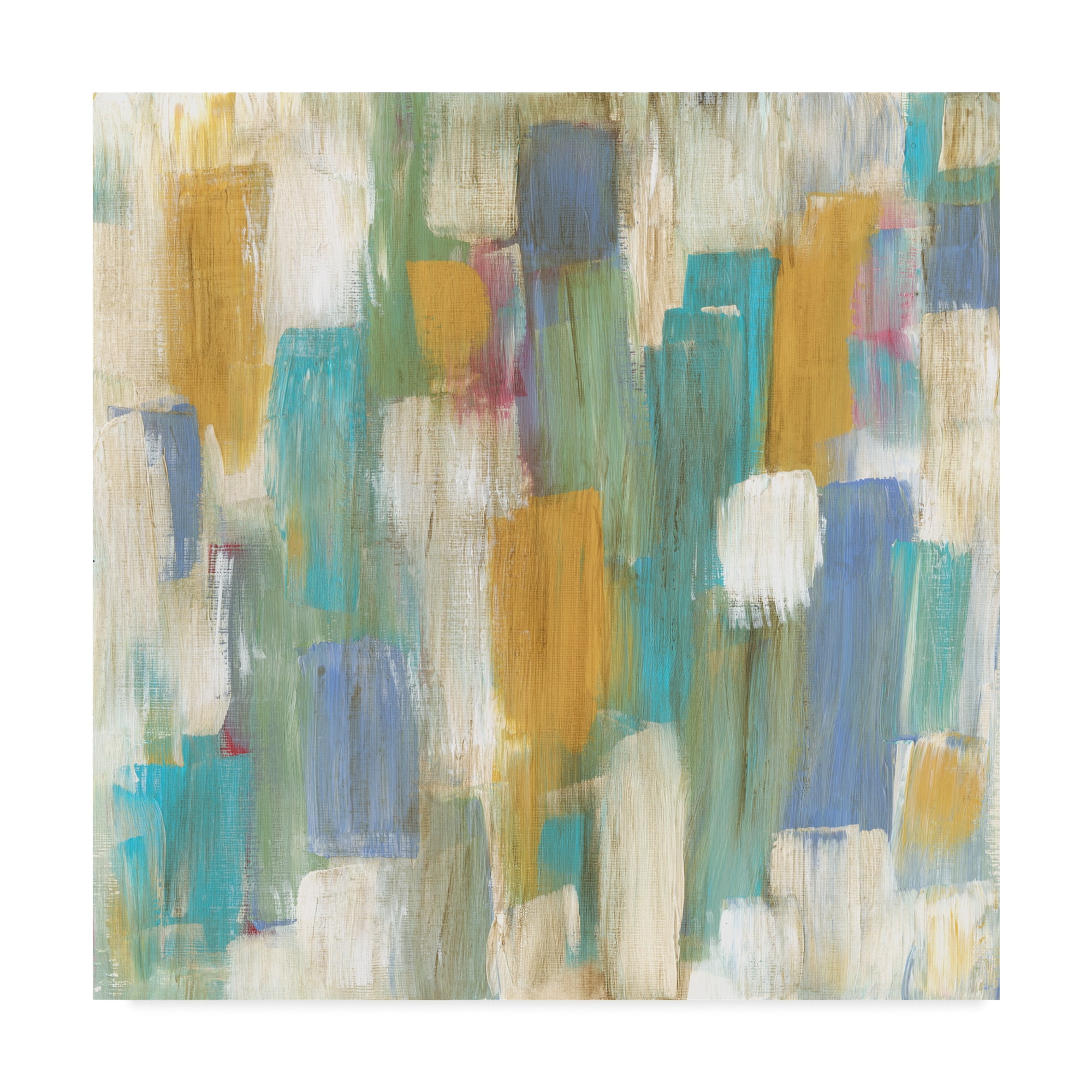 Trademark Fine Art 'Souls of the Departed I' Canvas Art by Lisa Choate