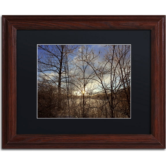 Trademark Fine Art "South Amherst Quarries" Canvas Art by Jason Shaffer, Black Matte, Wood Frame