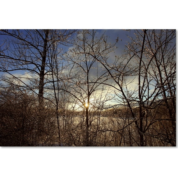 Trademark Fine Art "South Amherst Quarries" Canvas Art by Jason Shaffer