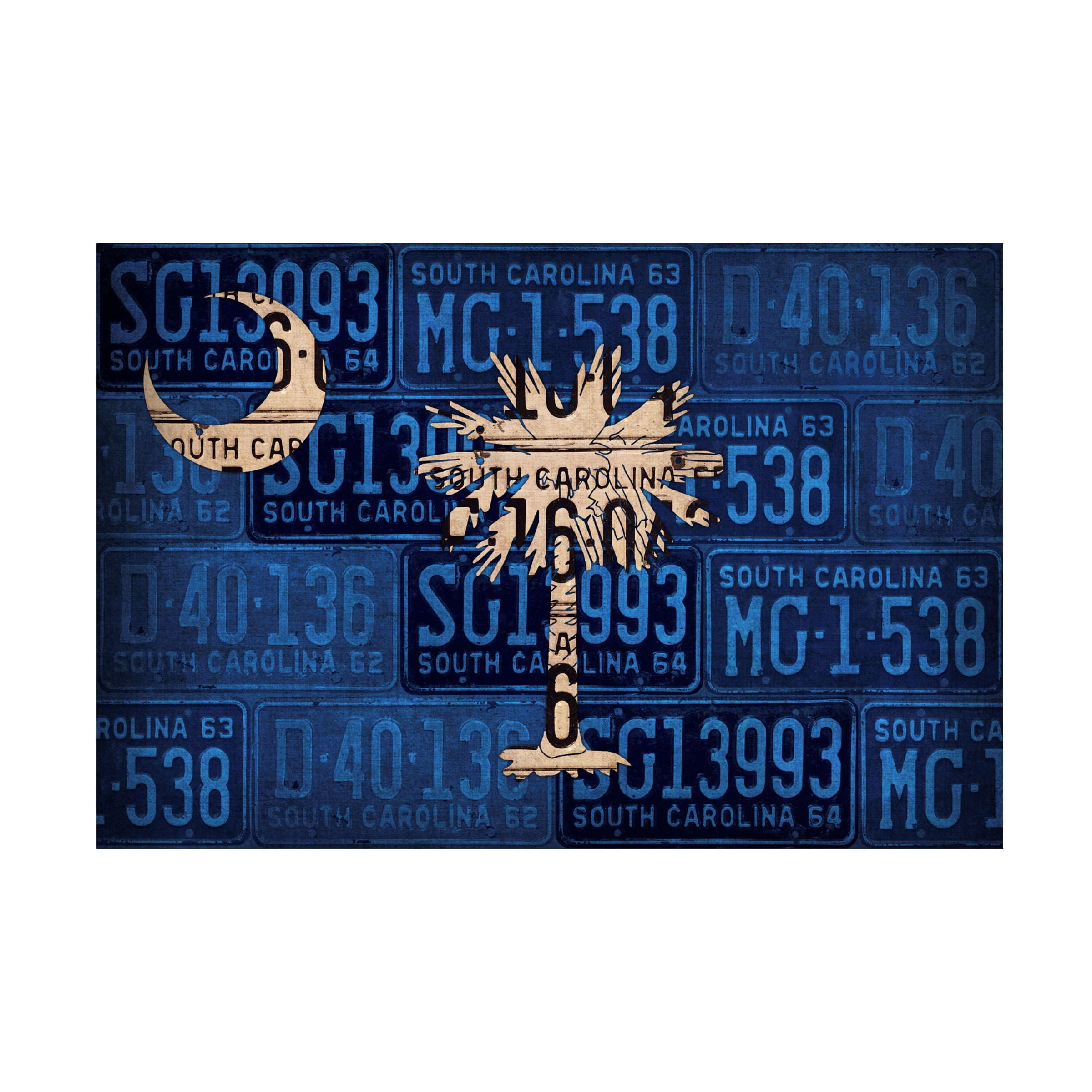 Trademark Fine Art 'South Carolina State Flag' Canvas Art by Design Turnpike