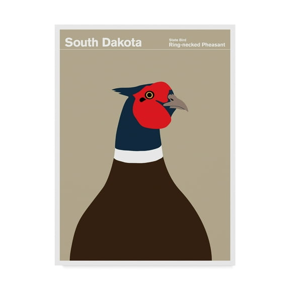 Trademark Fine Art 'South Dakota Pheasant' Canvas Art by Print Collection - Artist