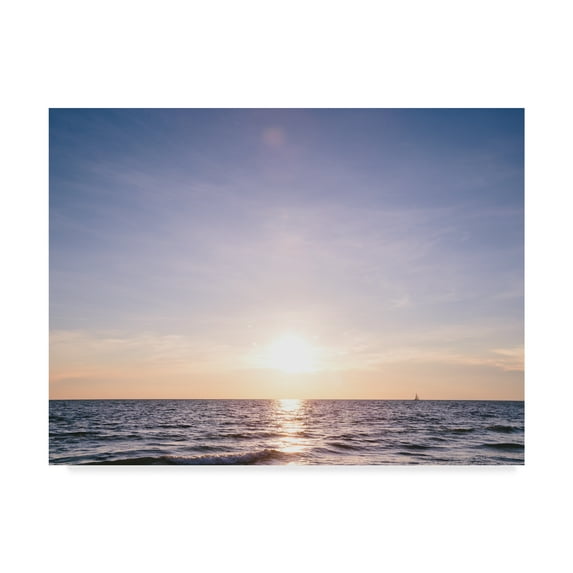 Trademark Fine Art 'South Florida II' Canvas Art by Adam Mead