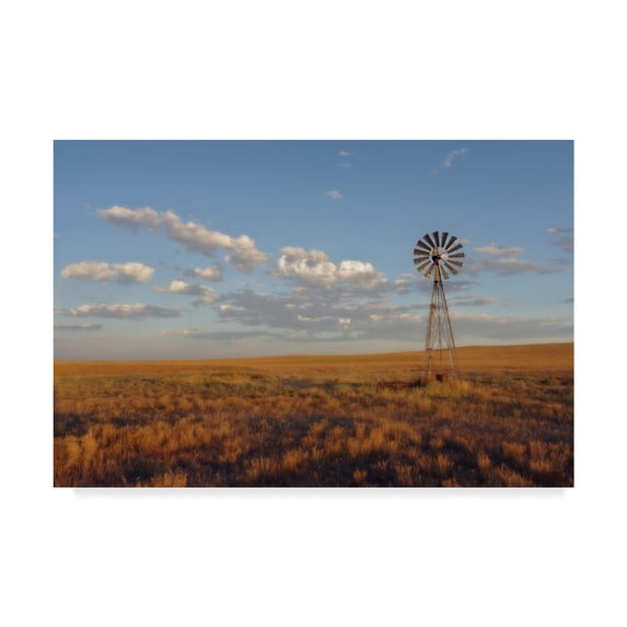 Trademark Fine Art 'South Leunberger' Canvas Art by Amanda Smith