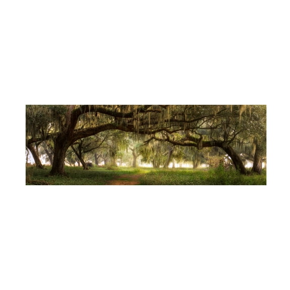Trademark Fine Art Doug Cavanah Southern Charm Canvas Wall Art - 6x19