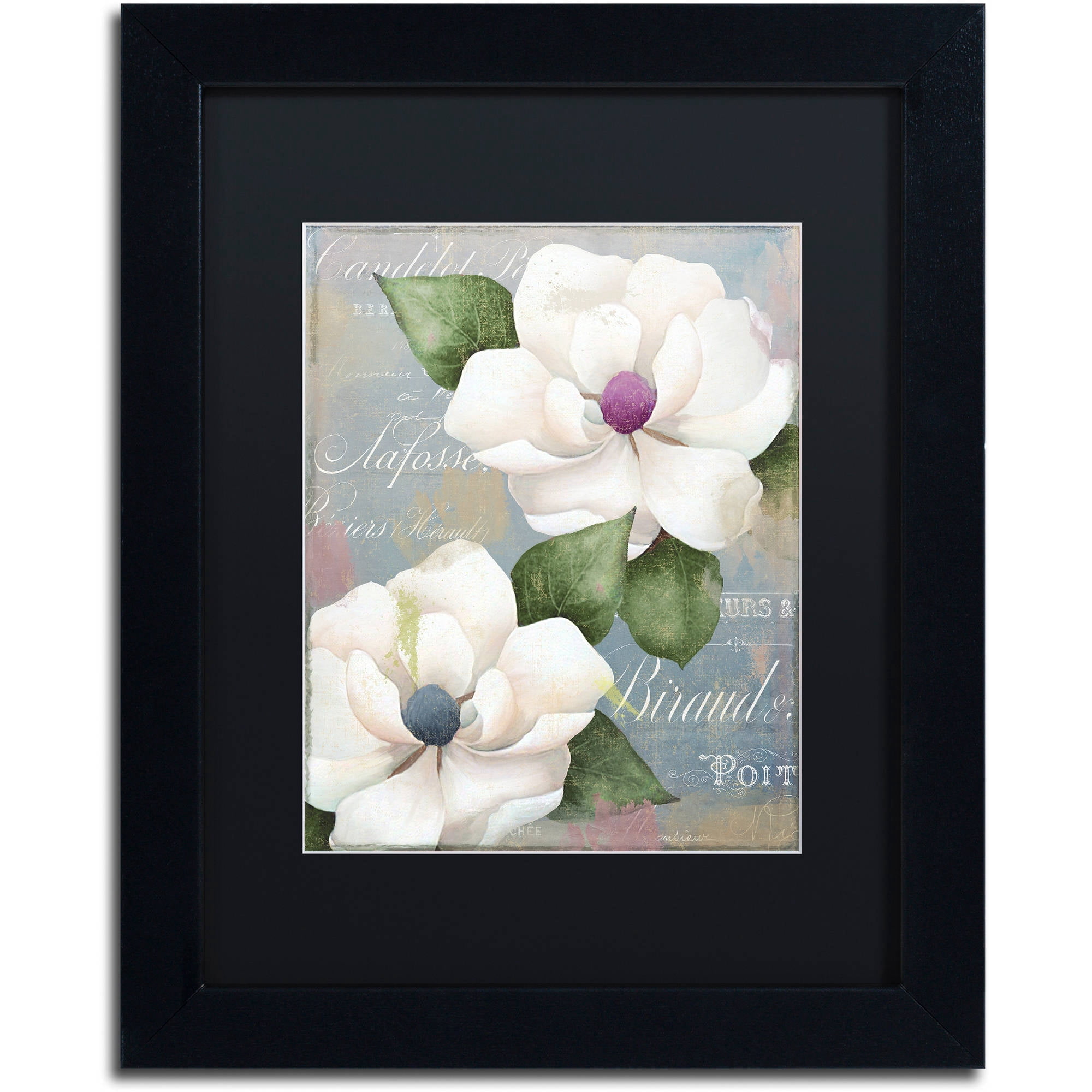 Trademark Fine Art "Southern Charms" Canvas Art by Color Bakery Black Matte, Black Frame