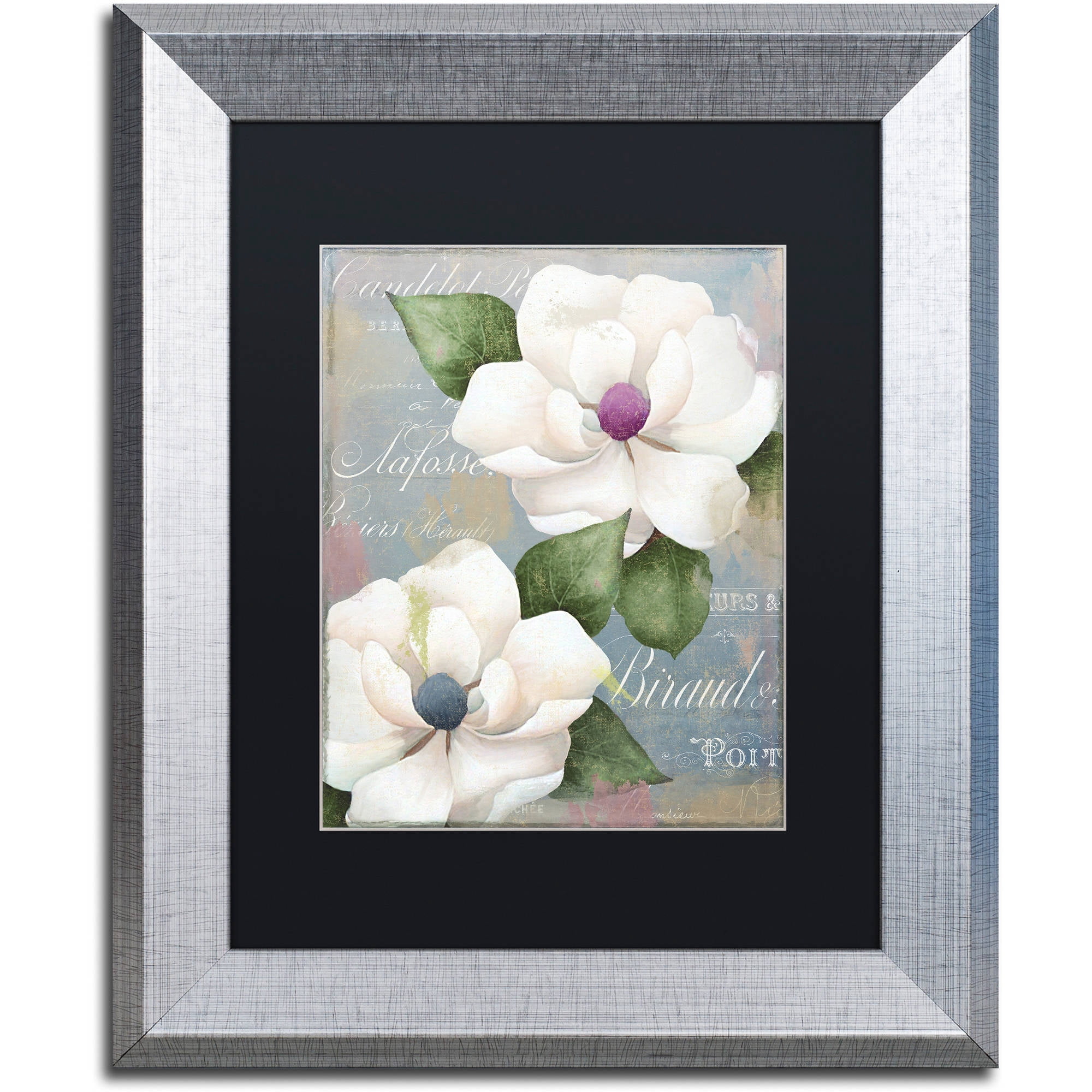 Trademark Fine Art "Southern Charms" Canvas Art by Color Bakery Black Matte, Silver Frame