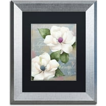 Trademark Fine Art "Southern Charms" Canvas Art by Color Bakery Black Matte, Silver Frame
