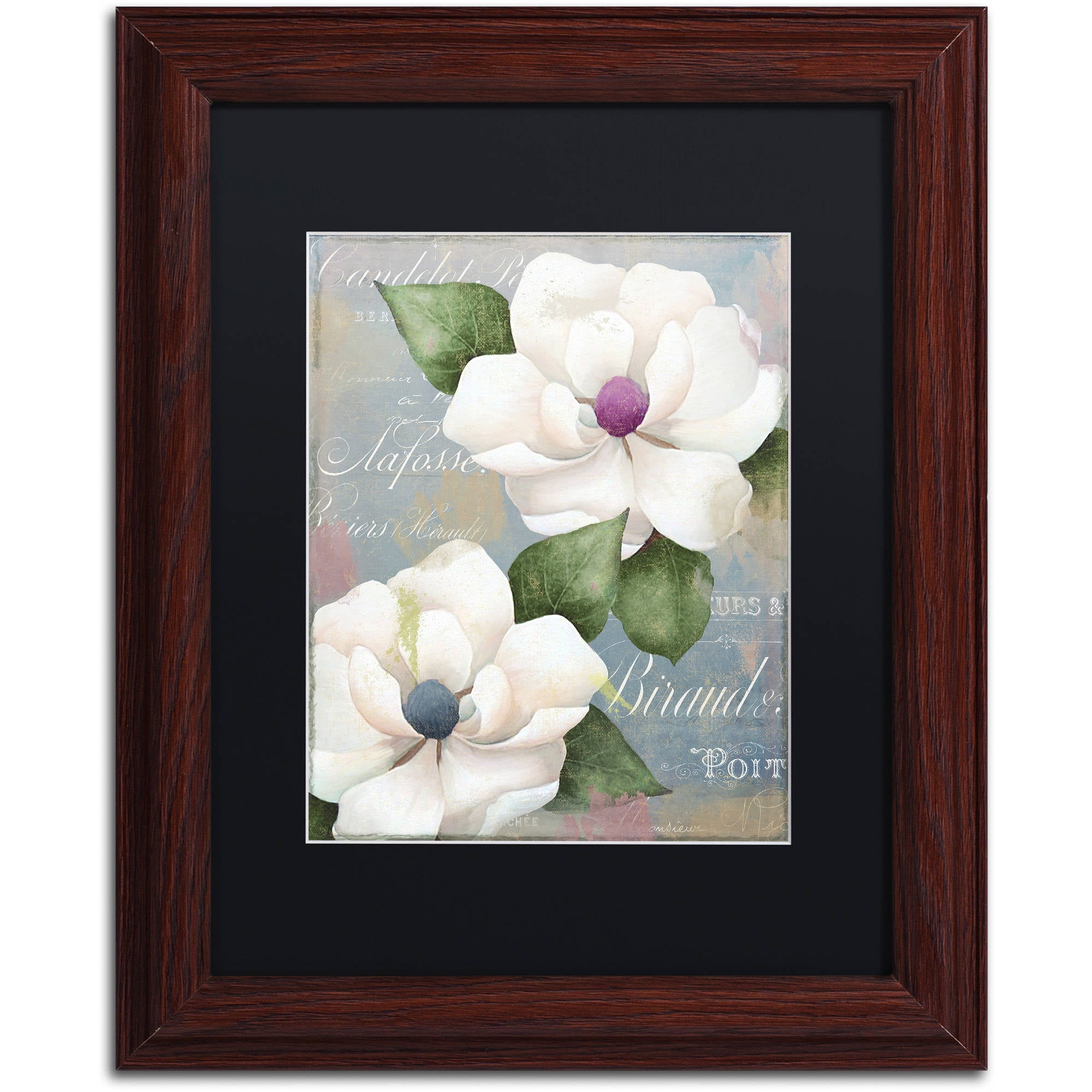Trademark Fine Art "Southern Charms" Canvas Art by Color Bakery Black Matte, Wood Frame
