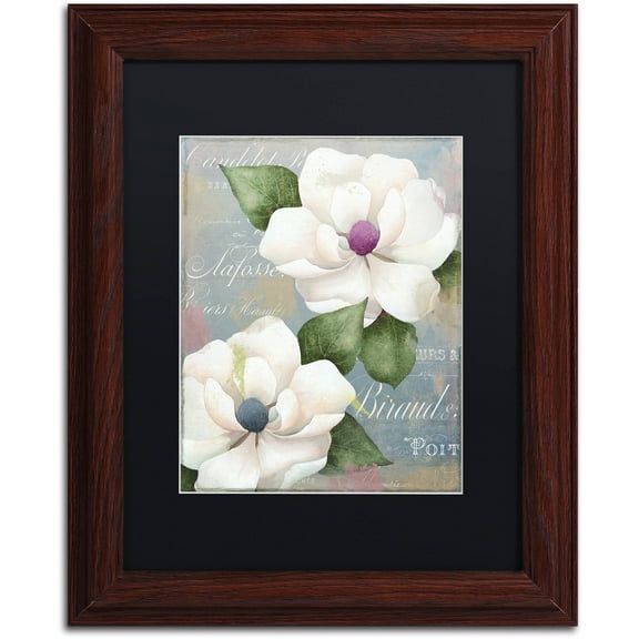 Trademark Fine Art "Southern Charms" Canvas Art by Color Bakery Black Matte, Wood Frame