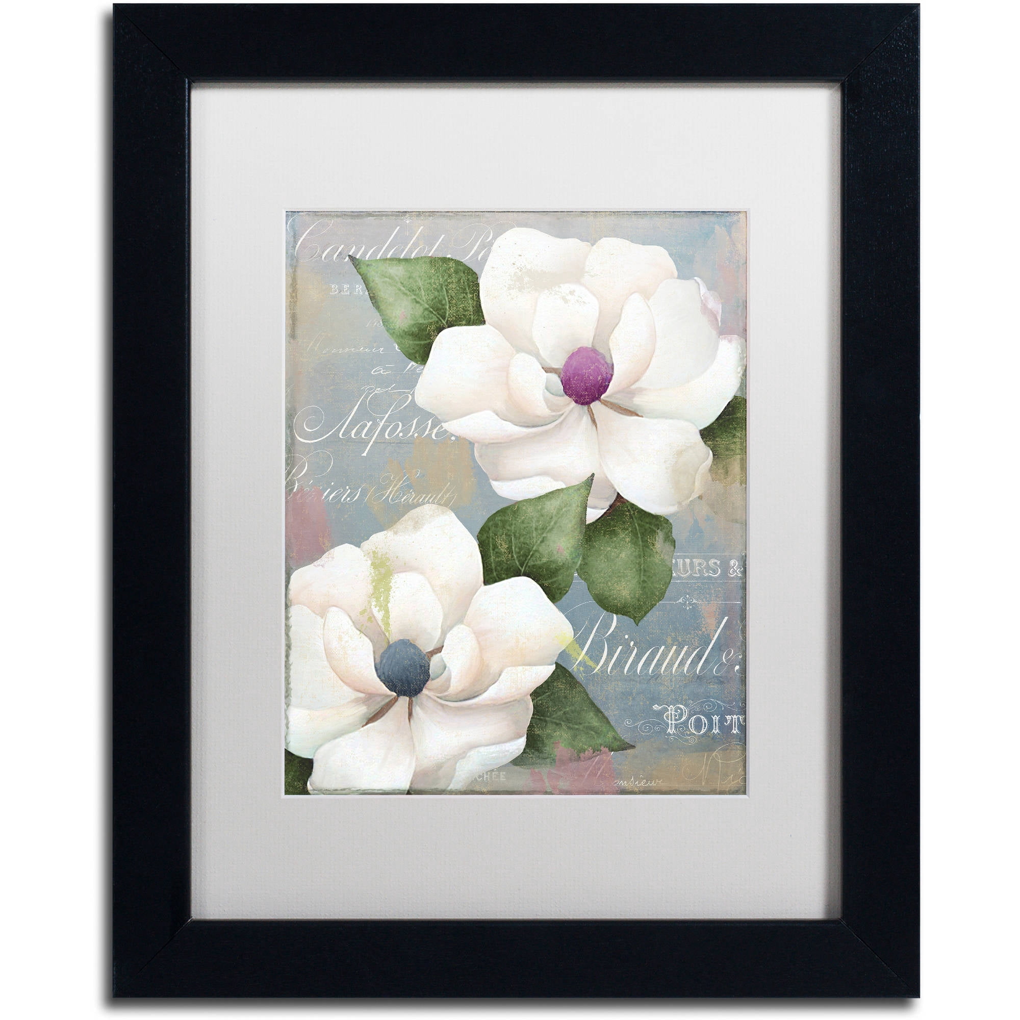 Trademark Fine Art "Southern Charms" Canvas Art by Color Bakery White Matte, Black Frame