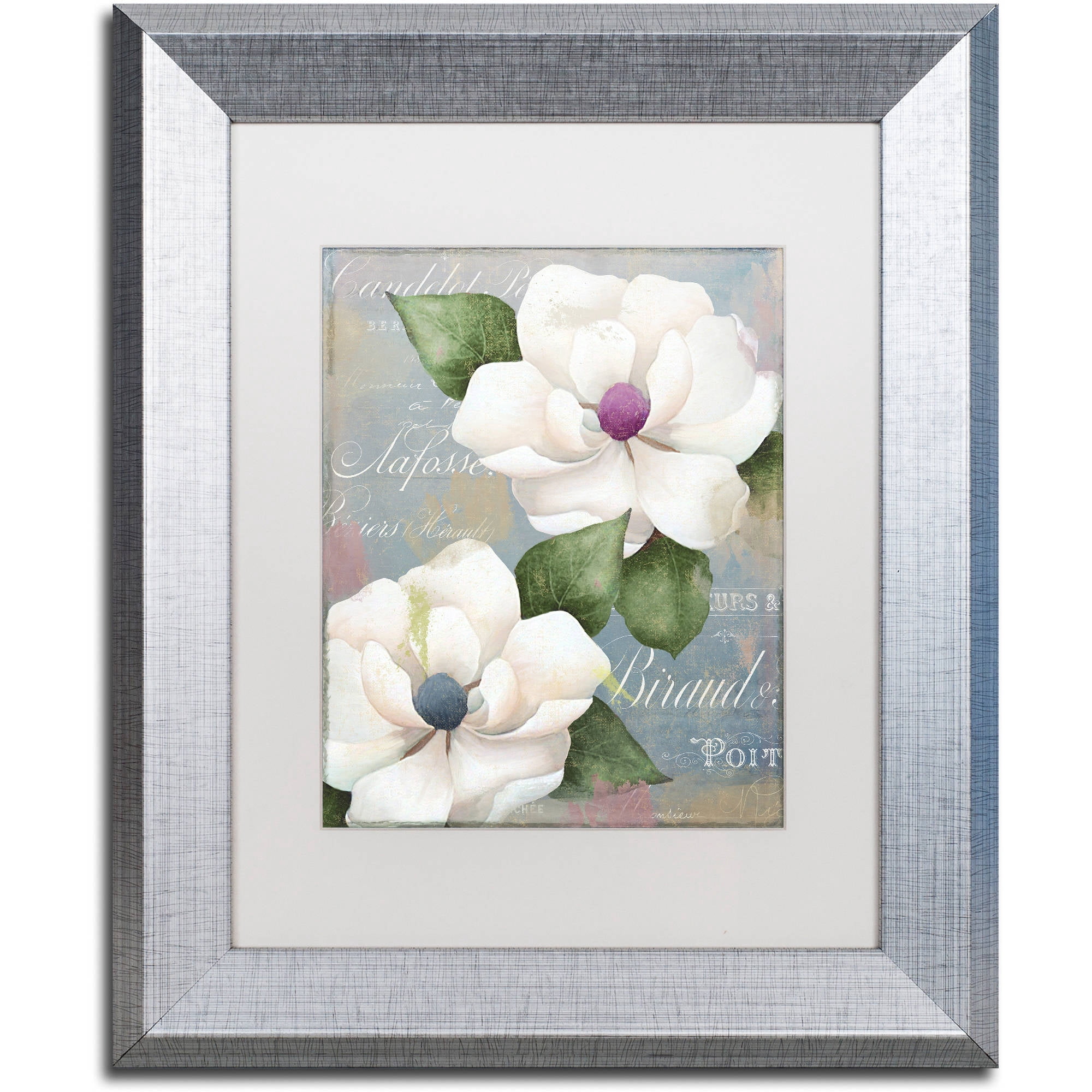 Trademark Fine Art "Southern Charms" Canvas Art by Color Bakery White Matte, Silver Frame