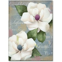 Trademark Fine Art "Southern Charms" Canvas Art by Color Bakery