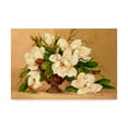 thumbnail image 1 of Trademark Fine Art ' Southern Magnolias' Canvas Art by Barbara Mock, 1 of 3